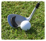Chipping Clip